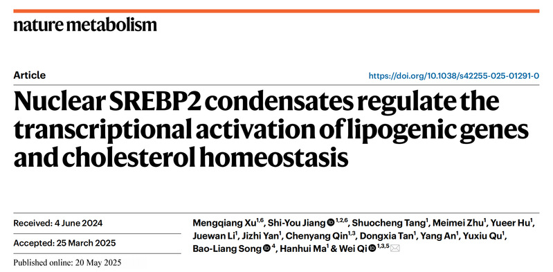 Scientists uncover new mechanism in cholesterol regulation, offering hope for heart disease prevention